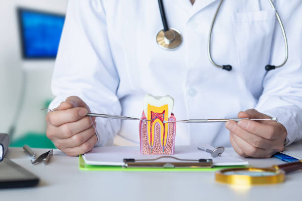 Best Emergency Dental Care for Trauma or Injury in Marlin, TX